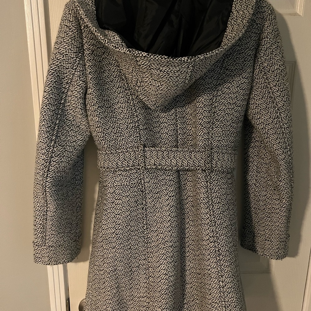 Winter Dress Coat